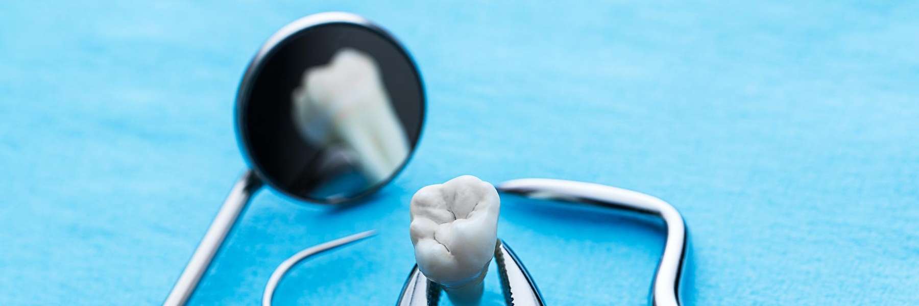 Picture of tooth extraction equipment and a tooth in Middletown, NJ